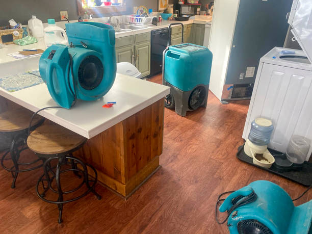 Best 24/7 water damage repair  in Benld, IL