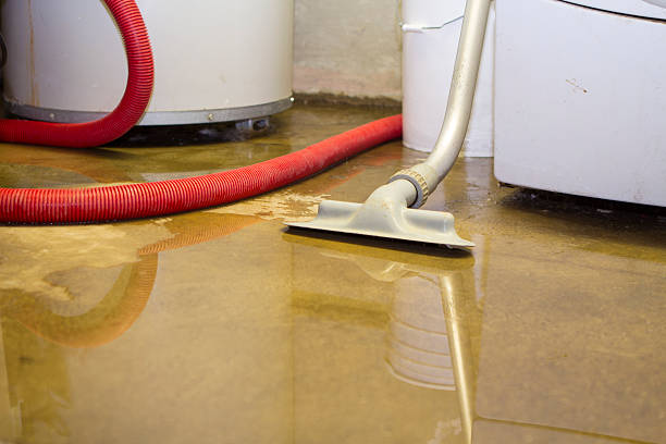 Local water damage restoration in Benld, IL