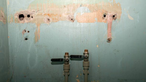 Reliable Benld, IL Water damage restoration Solutions